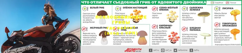 Галлюциногенные грибы GOLDEN TEACHER  Шарыпово 